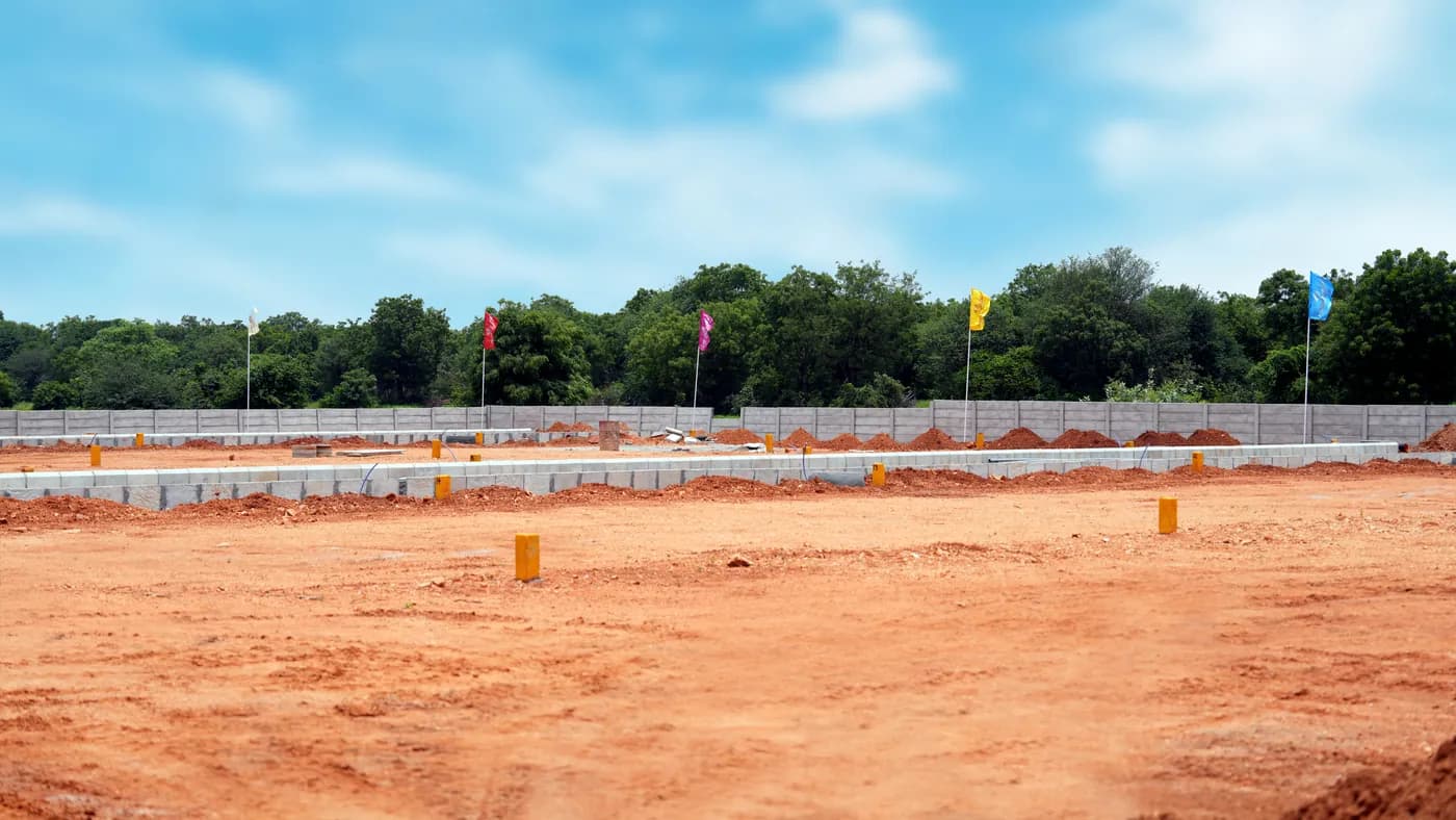Open plots view